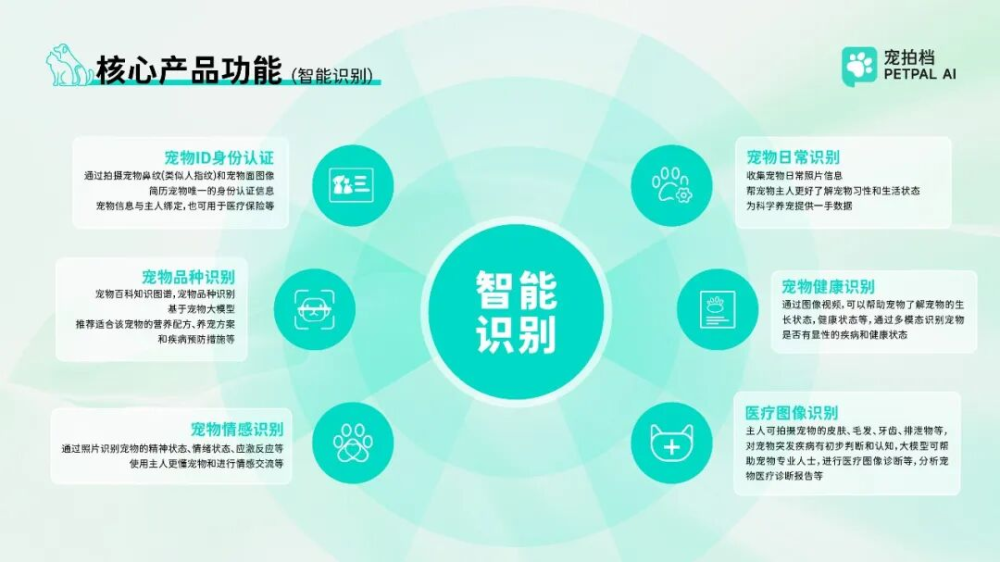 潮新闻专访宠拍档 以AI技术打破养宠信息壁垒，打造随身智慧兽医
